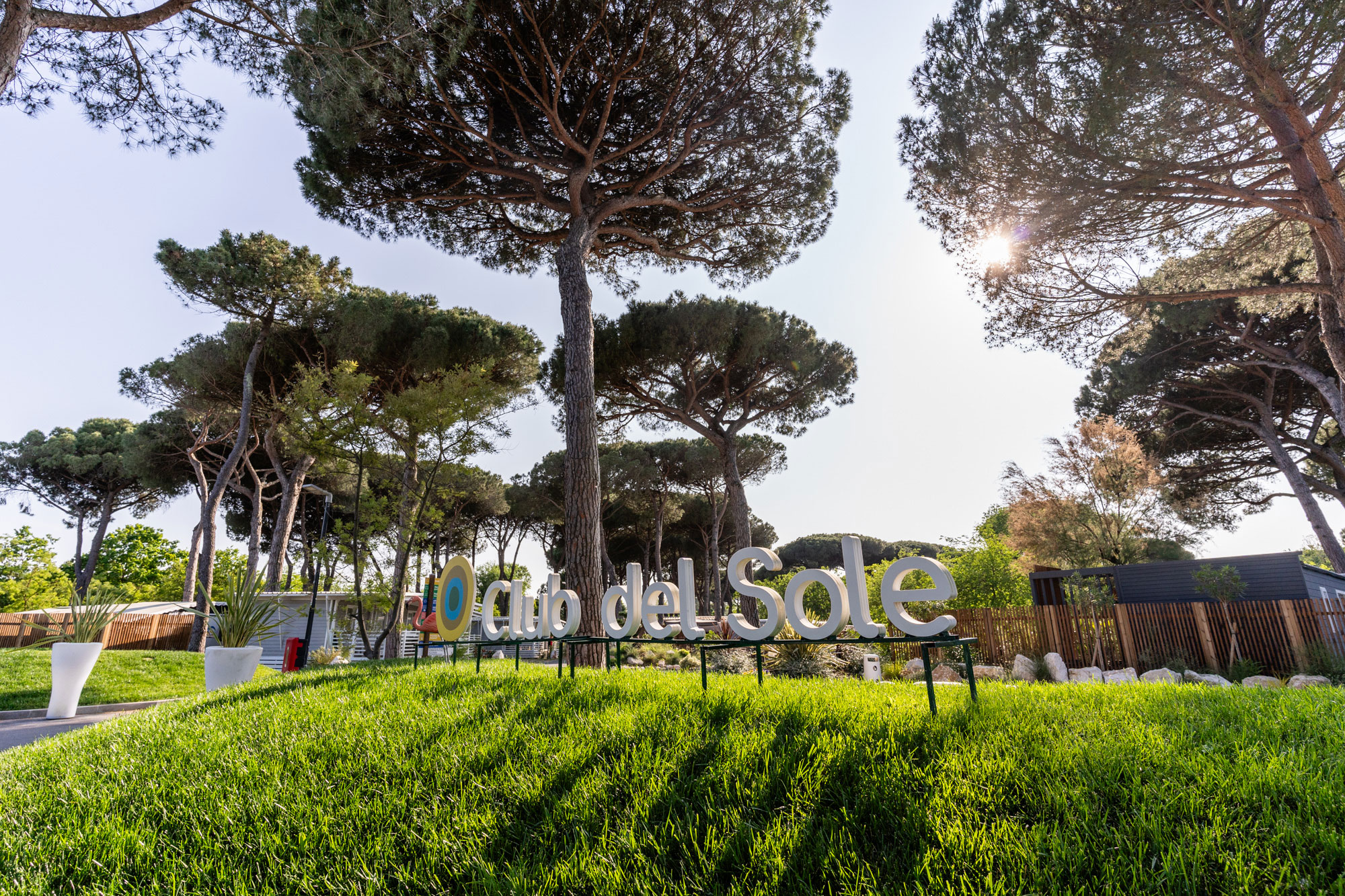 background image Nouvelles et &eacute;v&eacute;nements du Club del Sole