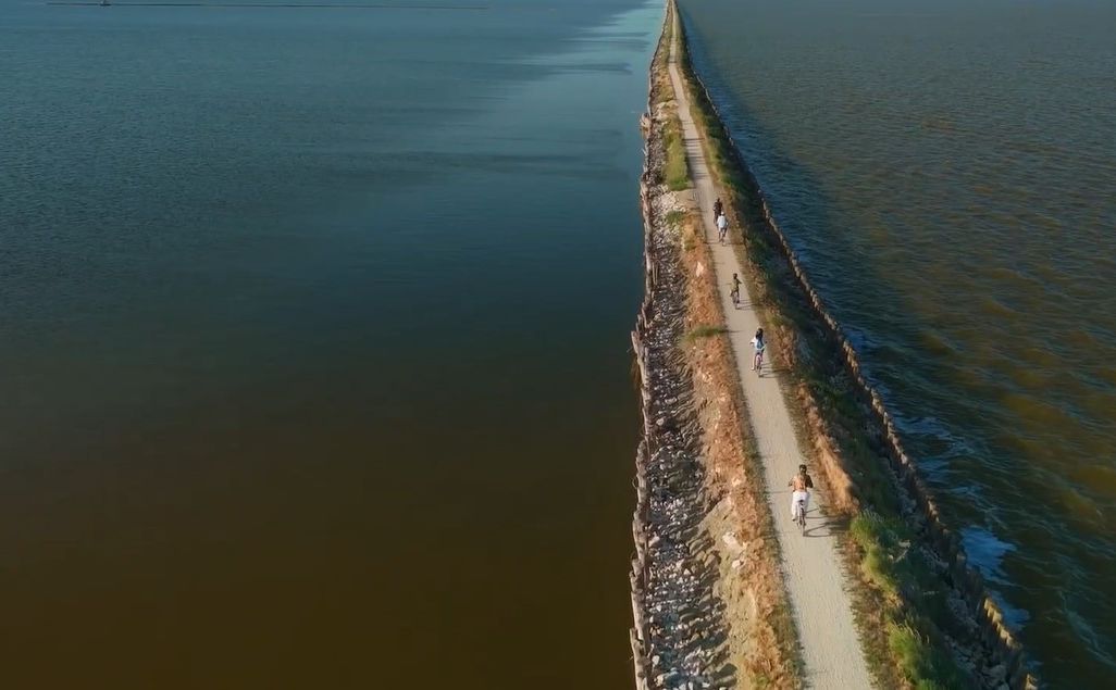 Visita il <span gold>Parco del Delta del Po</span> con Comacchio Experience