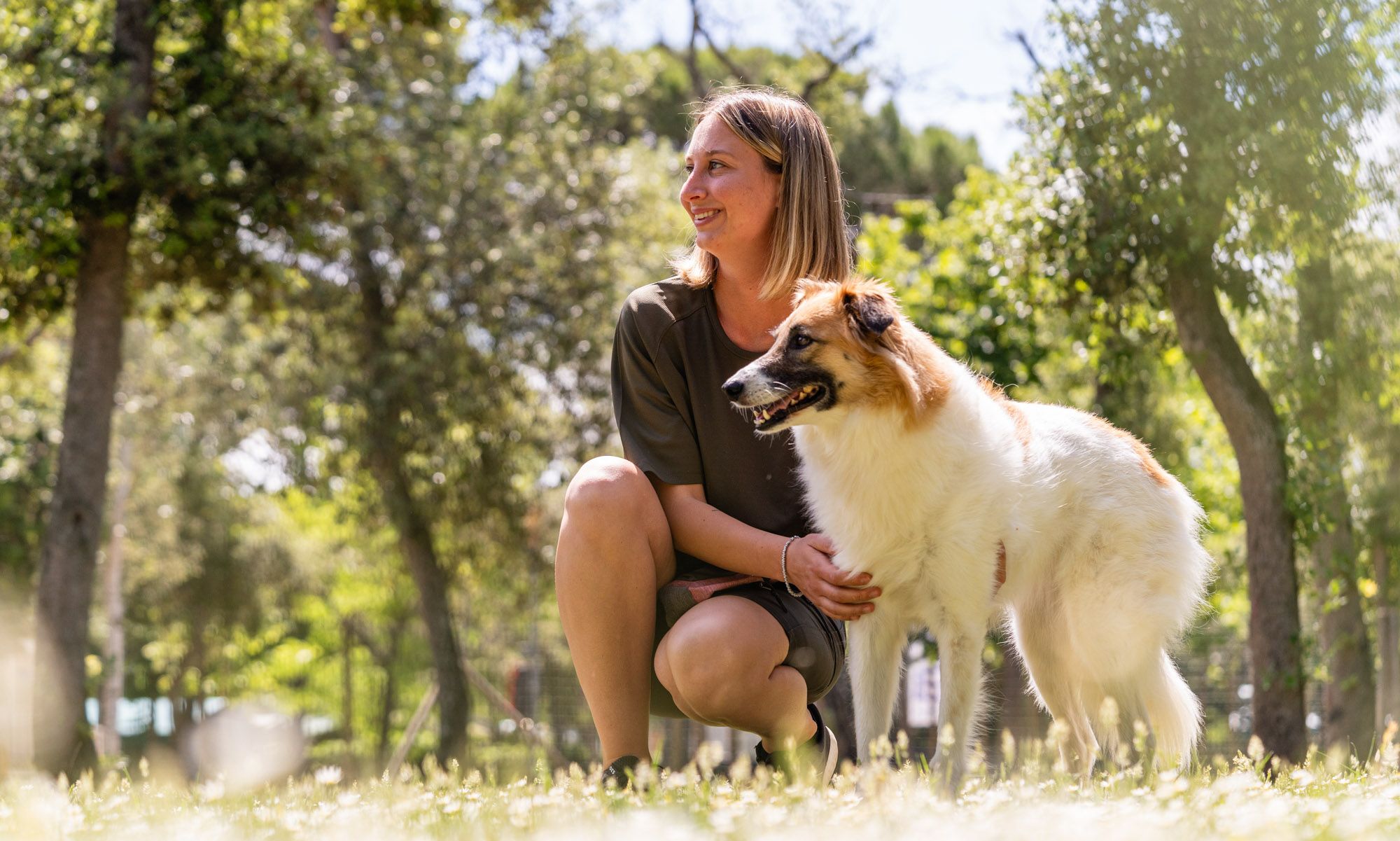 background image Family Dog Friendly