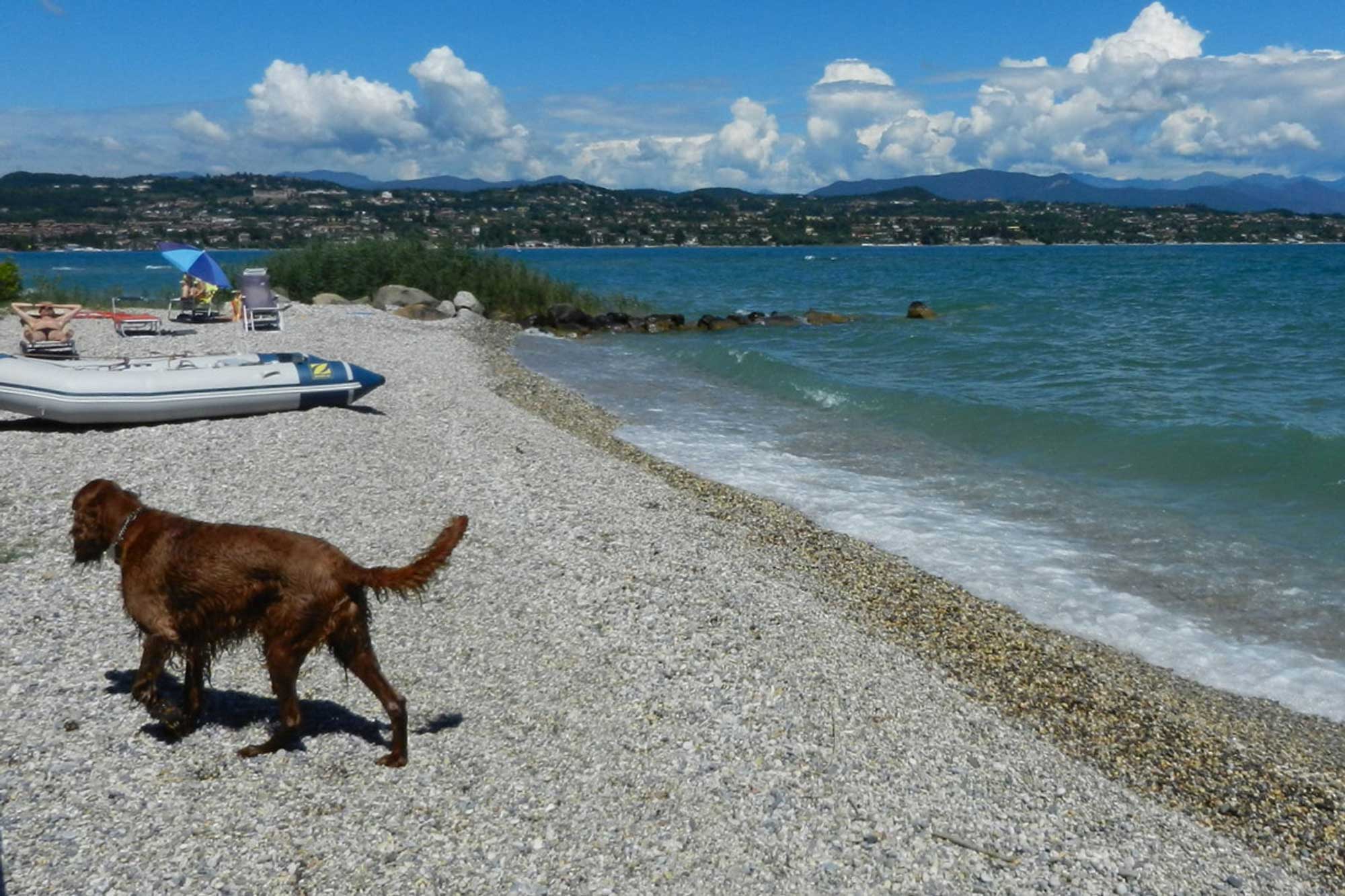 La plage accessible aux chiens