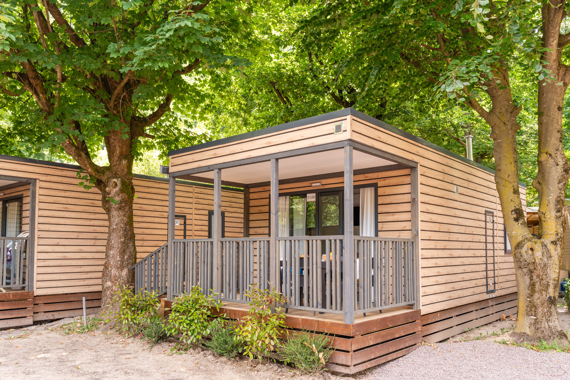 Sei pronto per farli <span class='gold'>divertire</span>?