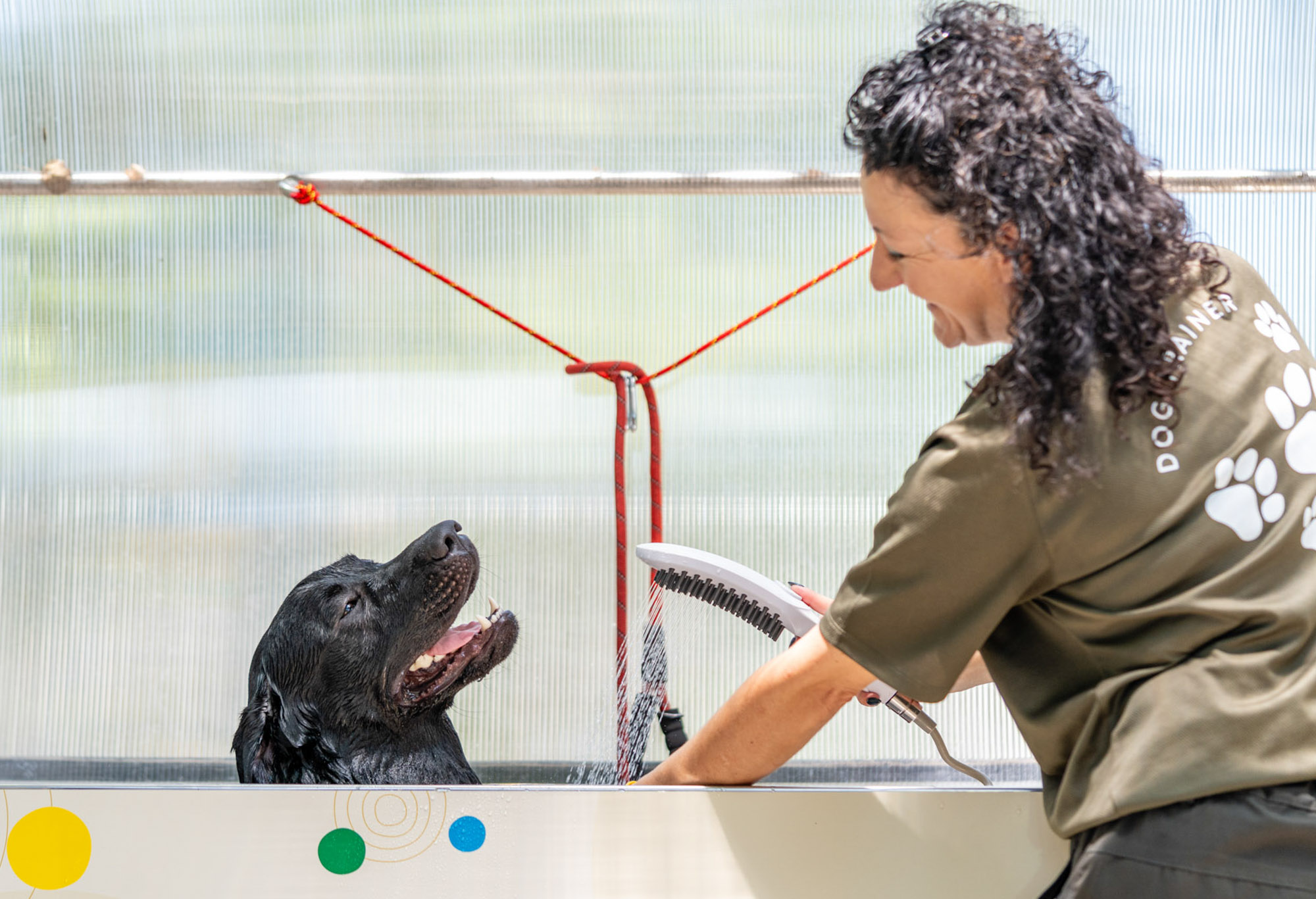 Espaces, divertissement et détente pour votre chien
