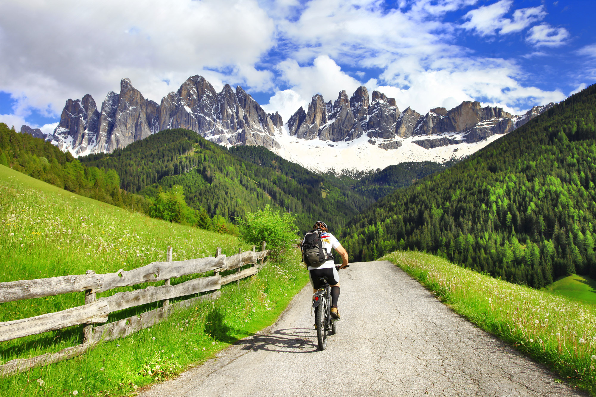 Explore Val di Fiemme by bike