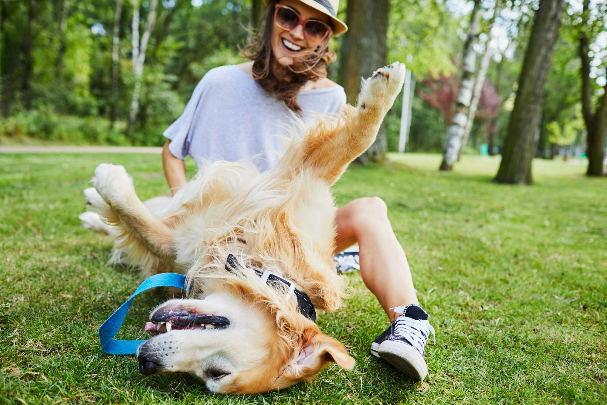 Are you and your faithful four-legged friend inseparable?