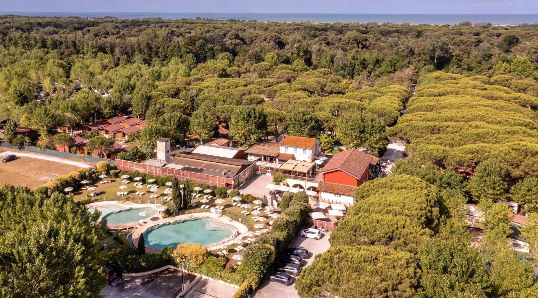 Alle Informationen, die Sie über Viareggio Family Collection benötigen