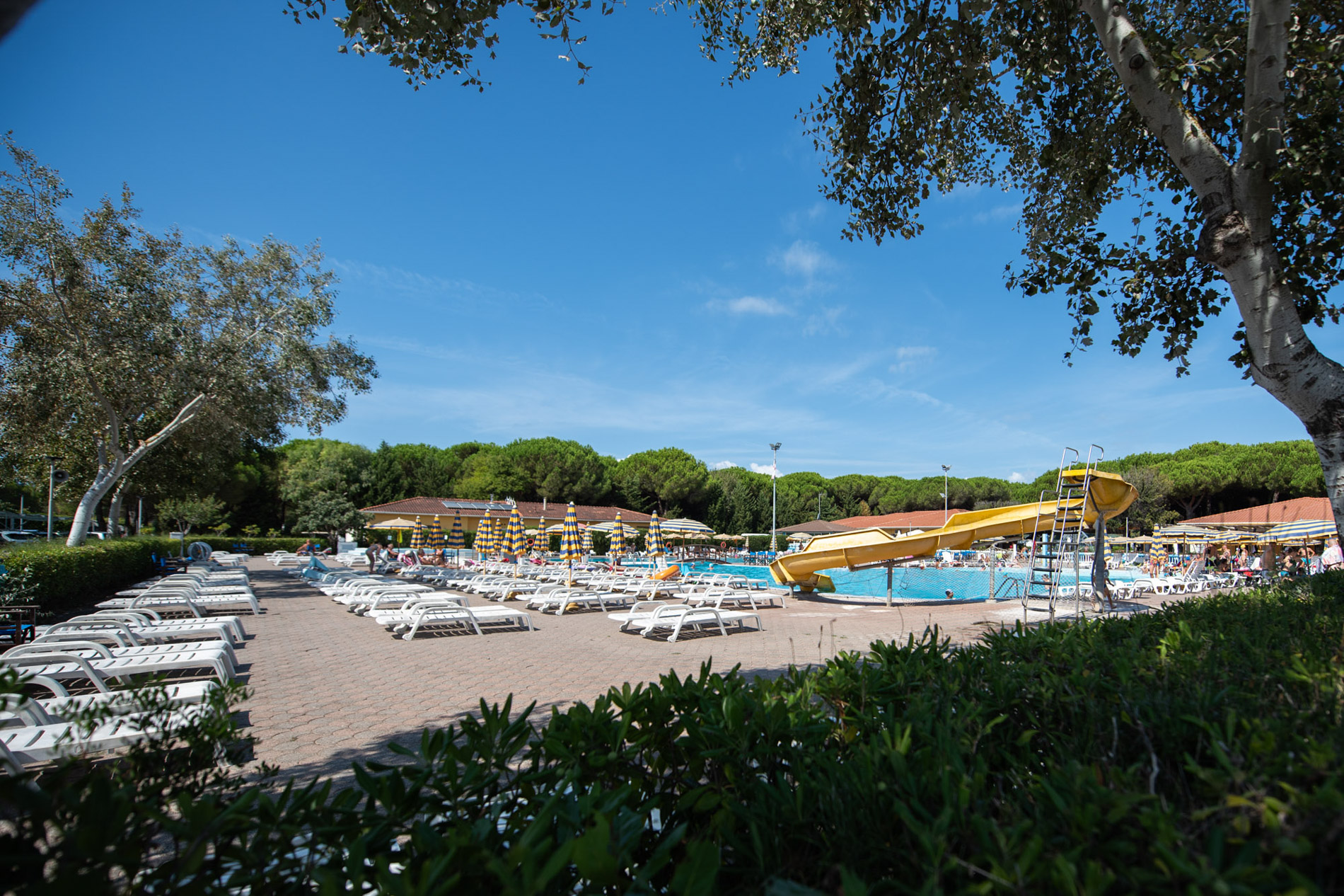 Ein aufregender Sprung ins kühle Nass