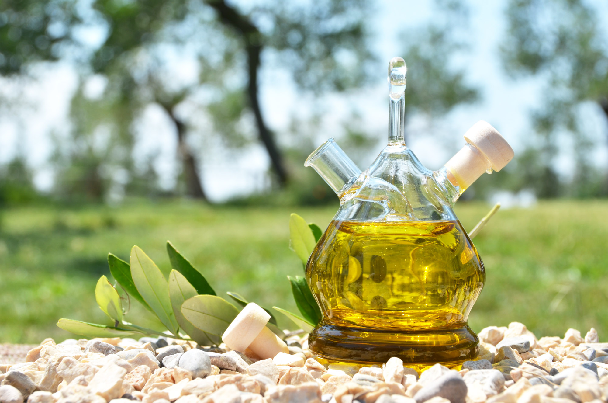 La Riviera degli Ulivi