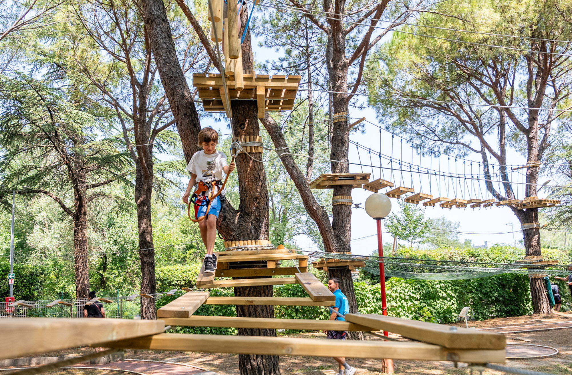 Climbing trees has never been so much fun!