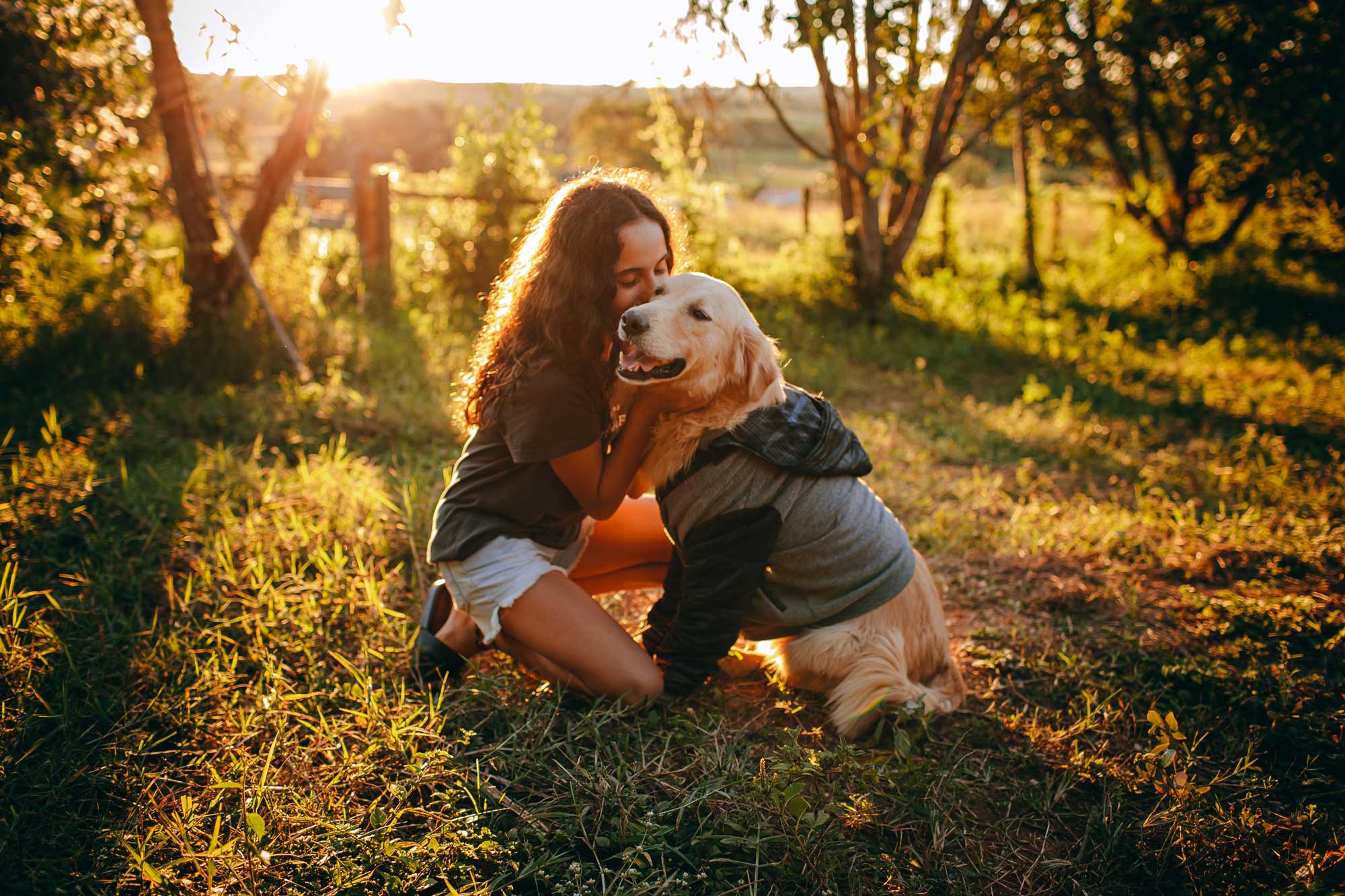 Trekking and special days out with your pet