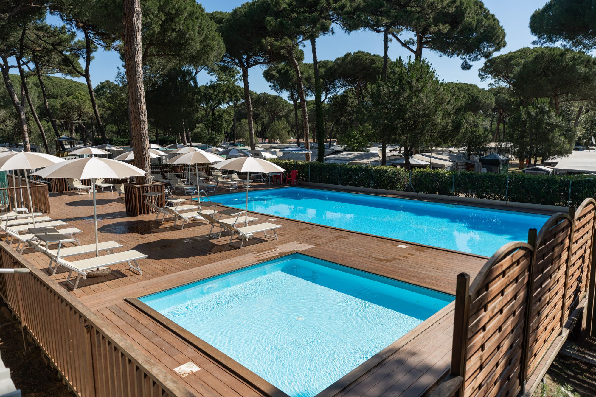 Sei sotto la pineta di Marina di Ravenna e in una splendida piscina