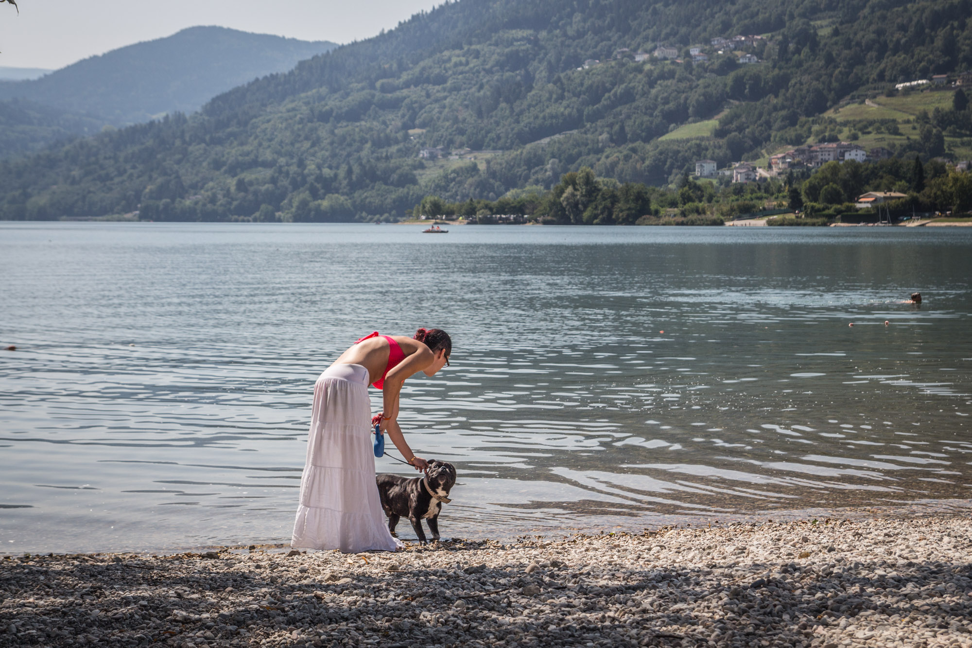 Want to take your dog to the beach? Nothing could be easier!