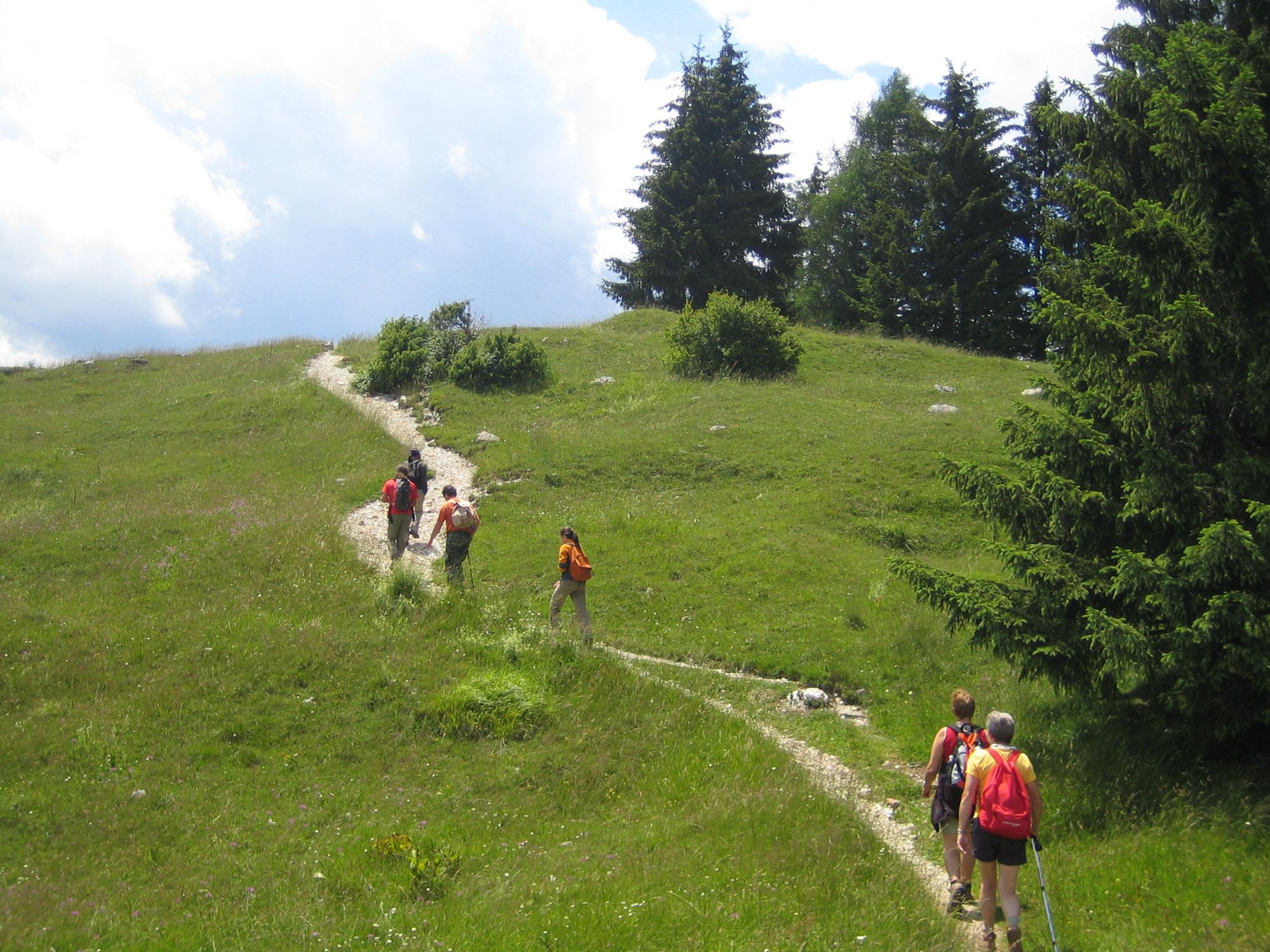 Valsugana and Lagorai: explore nature while you walk