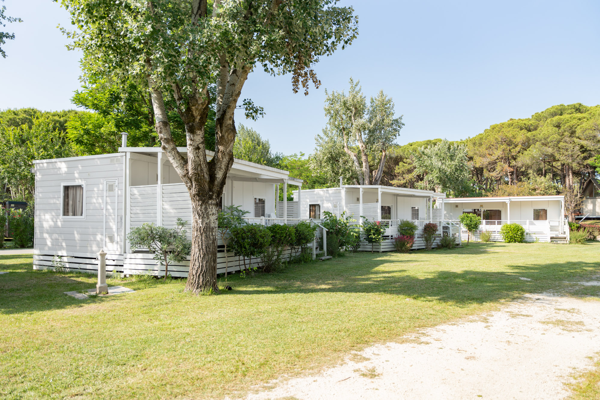 Un camping-village à vivre en <span class='gold'> famille </span>