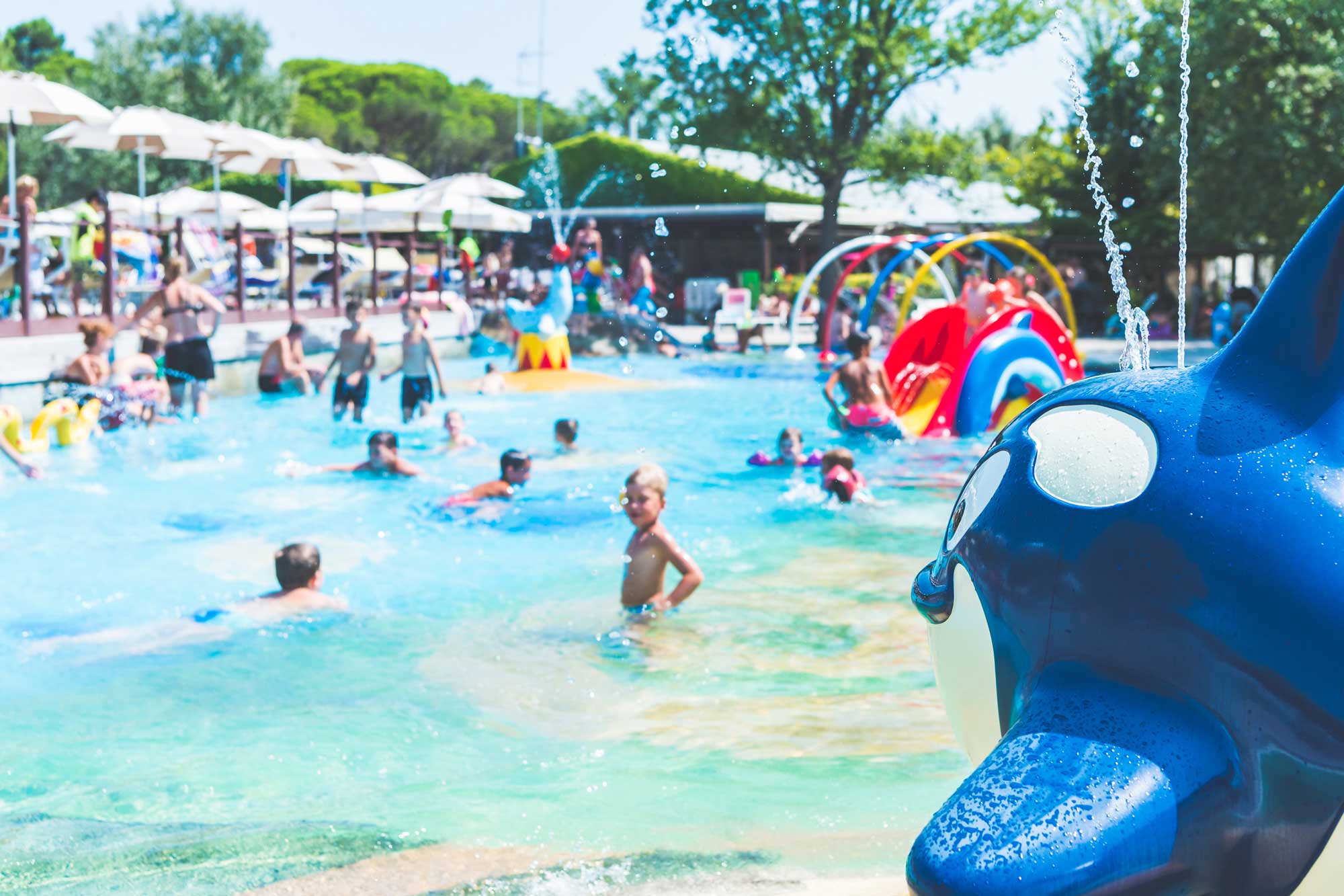 Aquapark: il divertimento è assicurato