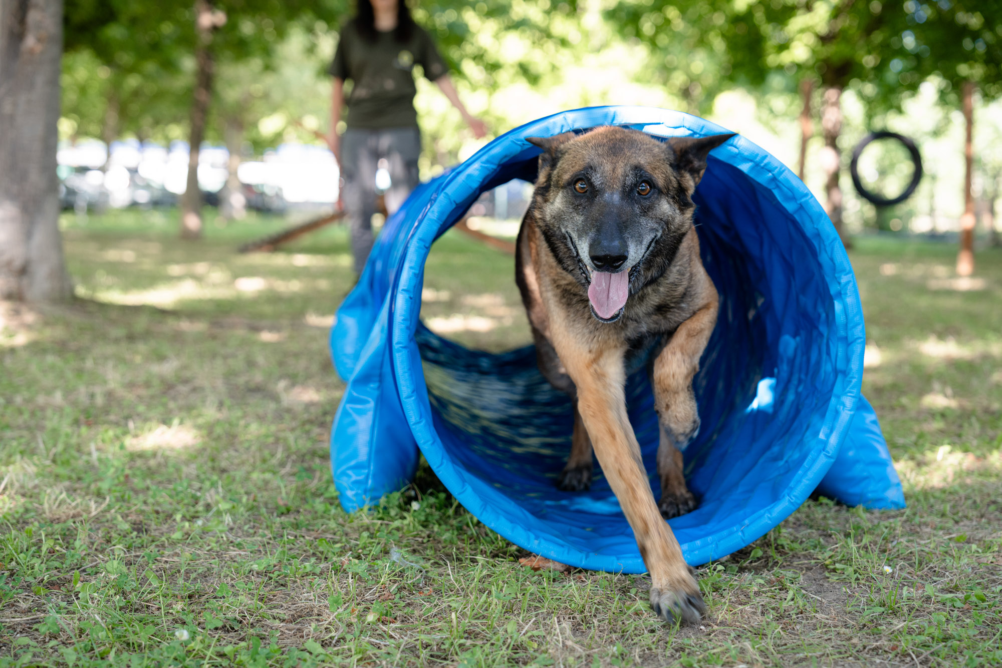 La vita “Dog Friendly” allo Stork Family Camping Village