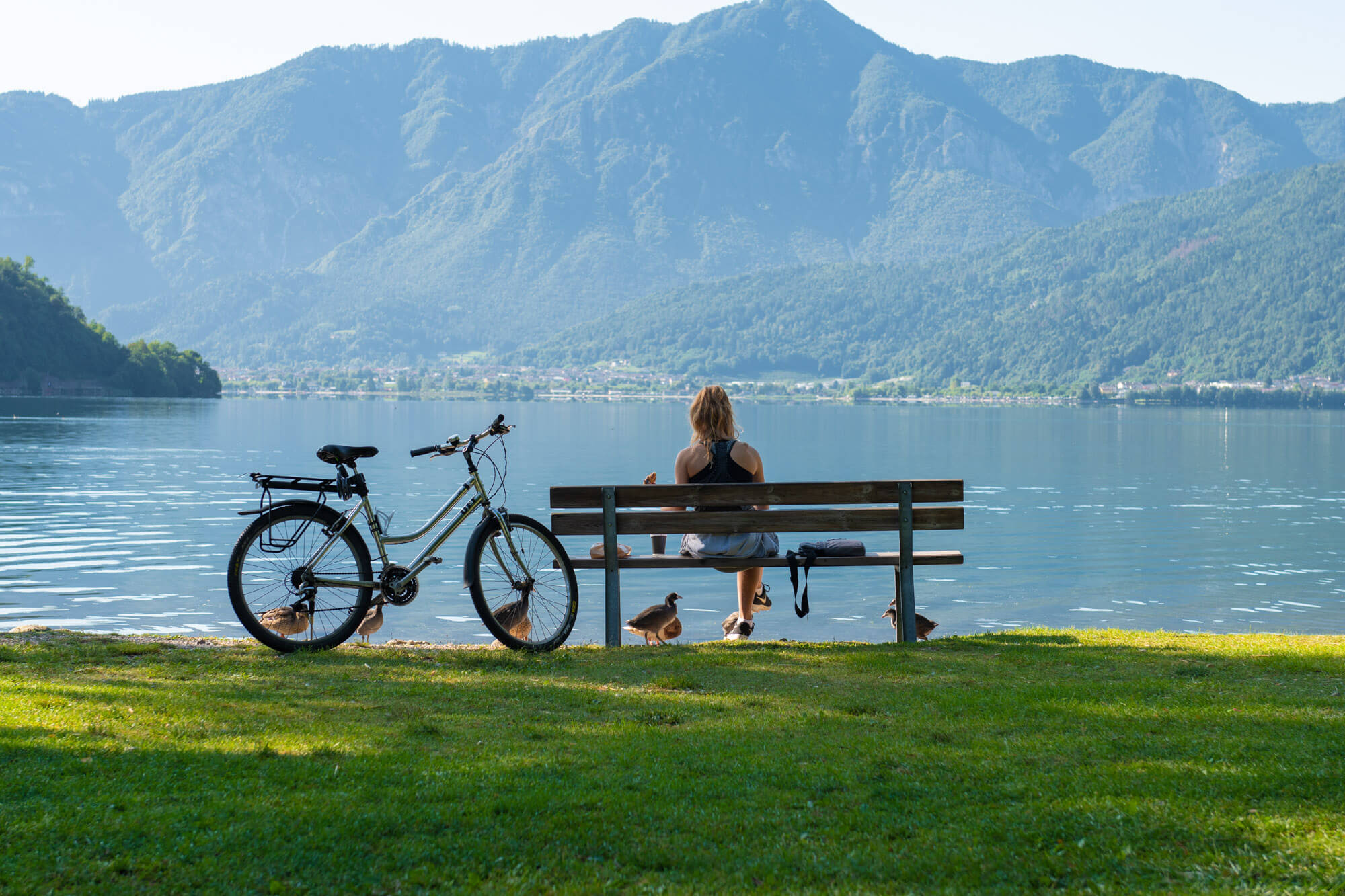 Caldonazzo Family Collection